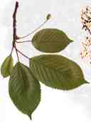 1103080_9.jpg